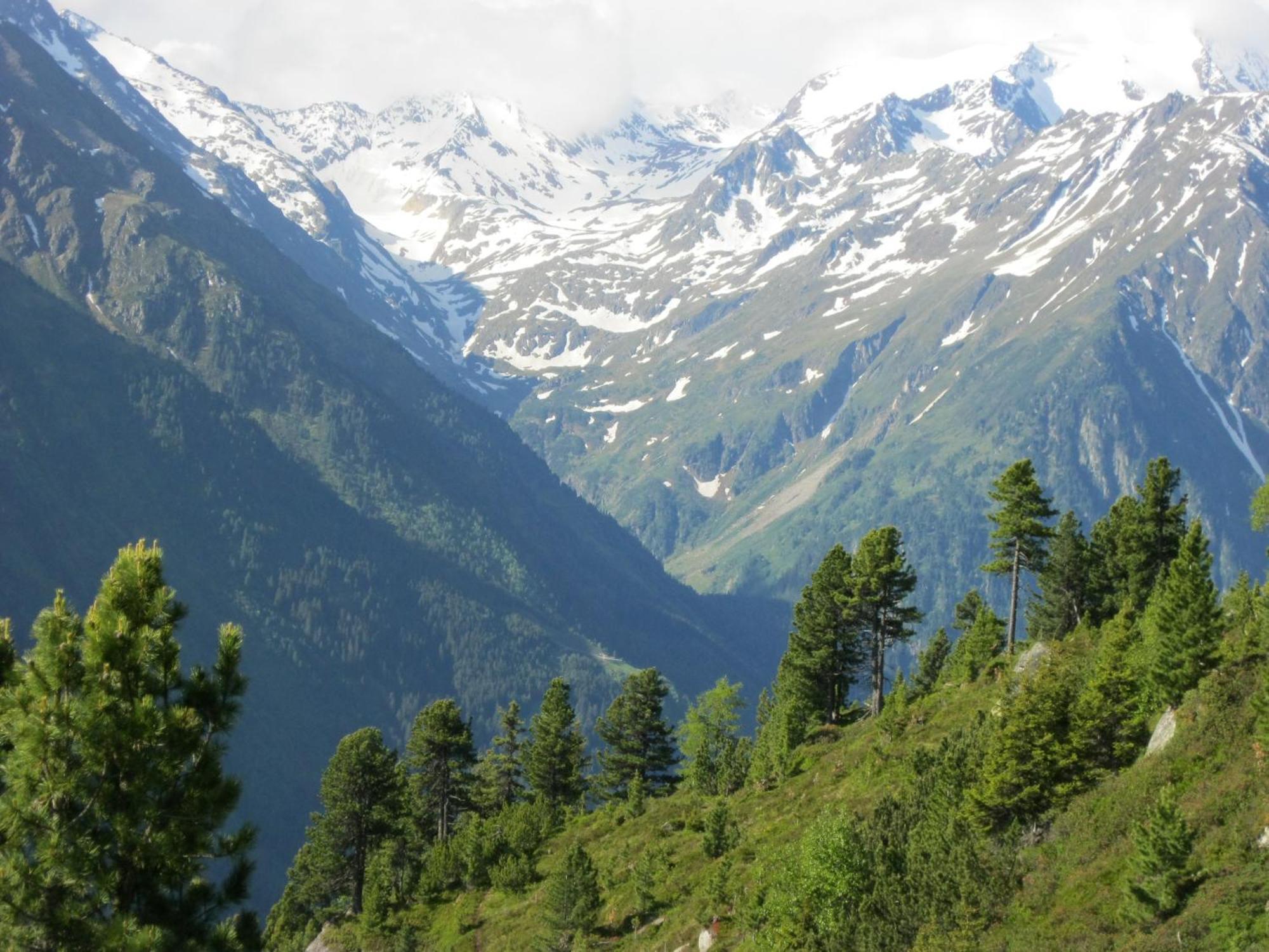 Ferienhaus Stubai นอยชติฟ อิม ชตูไปทัล ภายนอก รูปภาพ