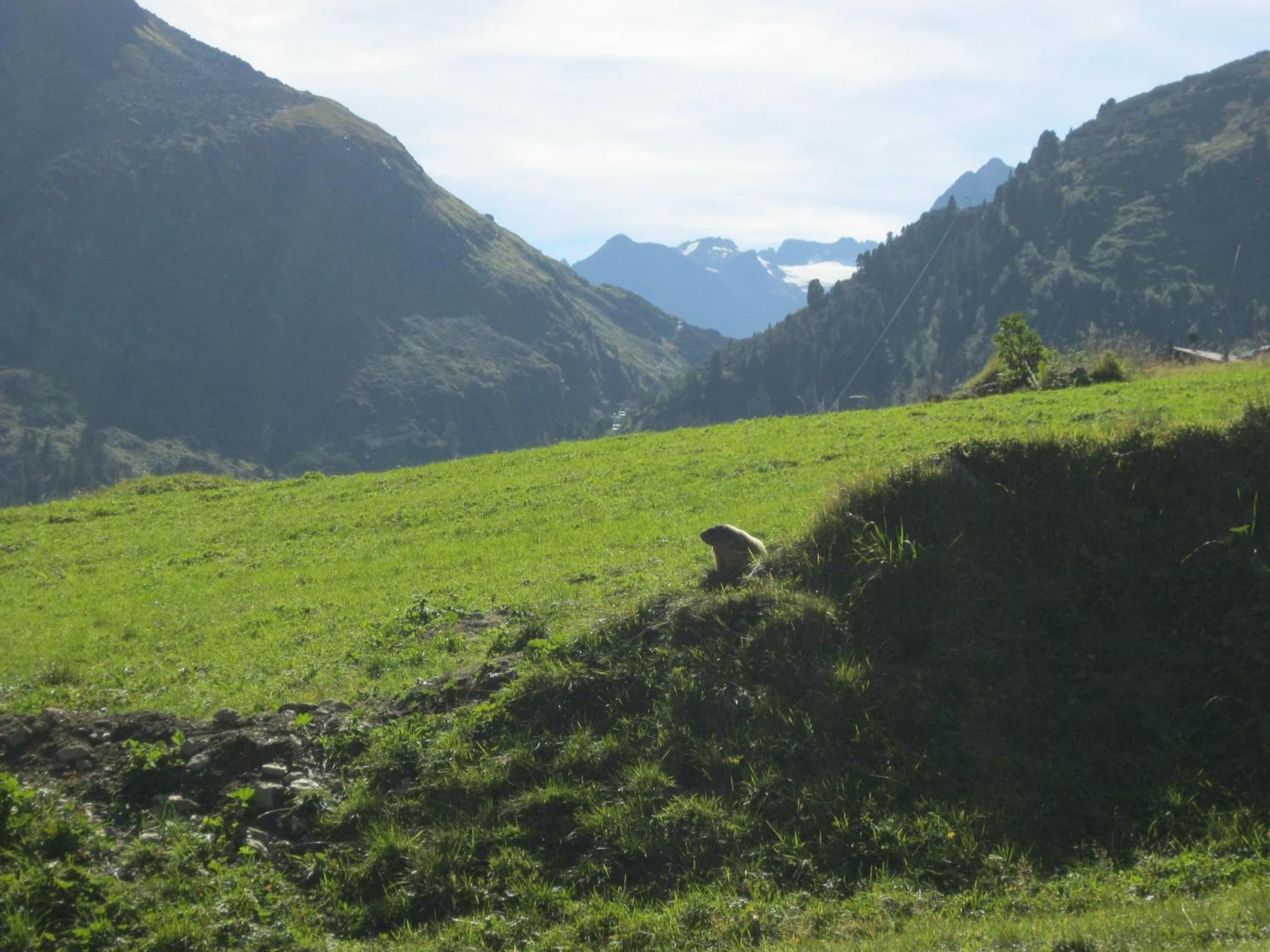 Ferienhaus Stubai นอยชติฟ อิม ชตูไปทัล ภายนอก รูปภาพ